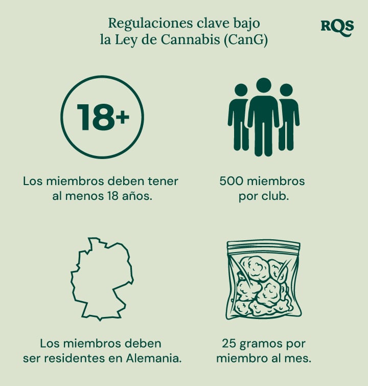 Infografía sobre la ley del cannabis en Alemania (CanG): edad 18+, 500 miembros por club, residencia en Alemania, límite de 25 g/mes.