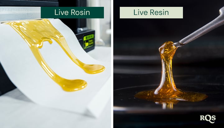 Comparación de rosin en vivo y resina en vivo, con dos imágenes lado a lado. A la izquierda, el rosin en vivo dorado está extendido sobre papel. A la derecha, la resina en vivo se levanta con una herramienta, mostrando su textura brillante.