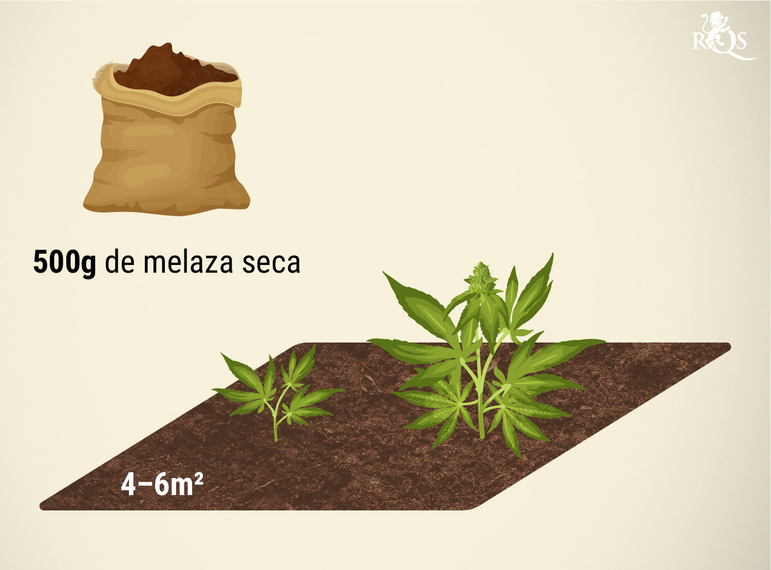 Melaza De Caña 1lt Vegetación Floración - Media Grow