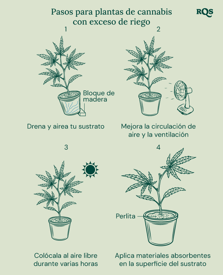 How to fix overwatered cannabis