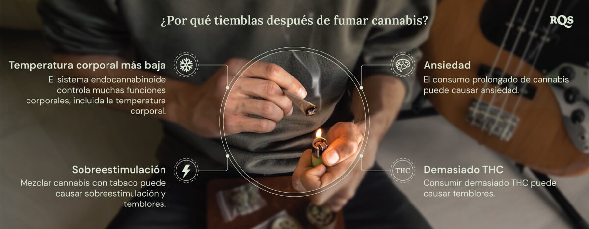 Un gráfico detallado que muestra los posibles efectos secundarios del consumo de cannabis. Visuales informativos explican cómo factores como los niveles de THC, la ansiedad y la temperatura corporal contribuyen a estas reacciones físicas.