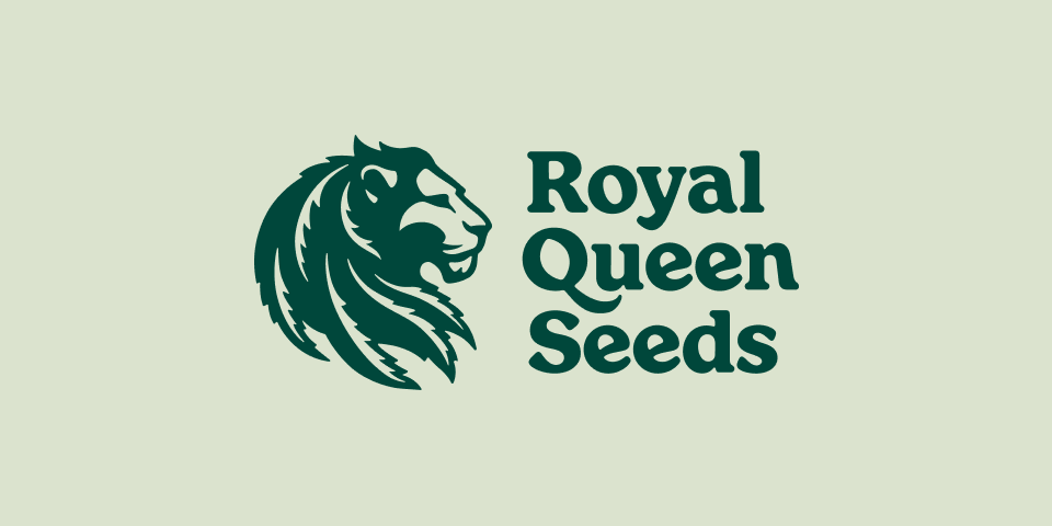 RQS Grinder de metal grabado - Royal Queen Seeds