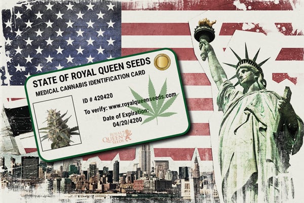 Guía de compra de vaporizadores de marihuana: cómo elegir el mejor - RQS  Blog