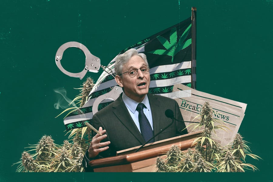 Puedo importar semillas de marihuana a Estados Unidos? - Canna Law