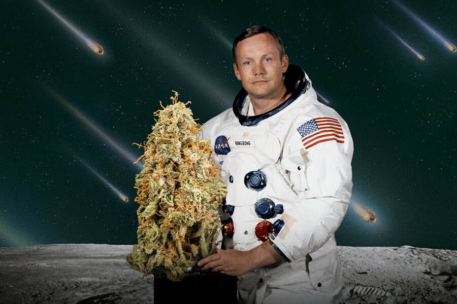 ¿Es posible cultivar marihuana en el espacio?