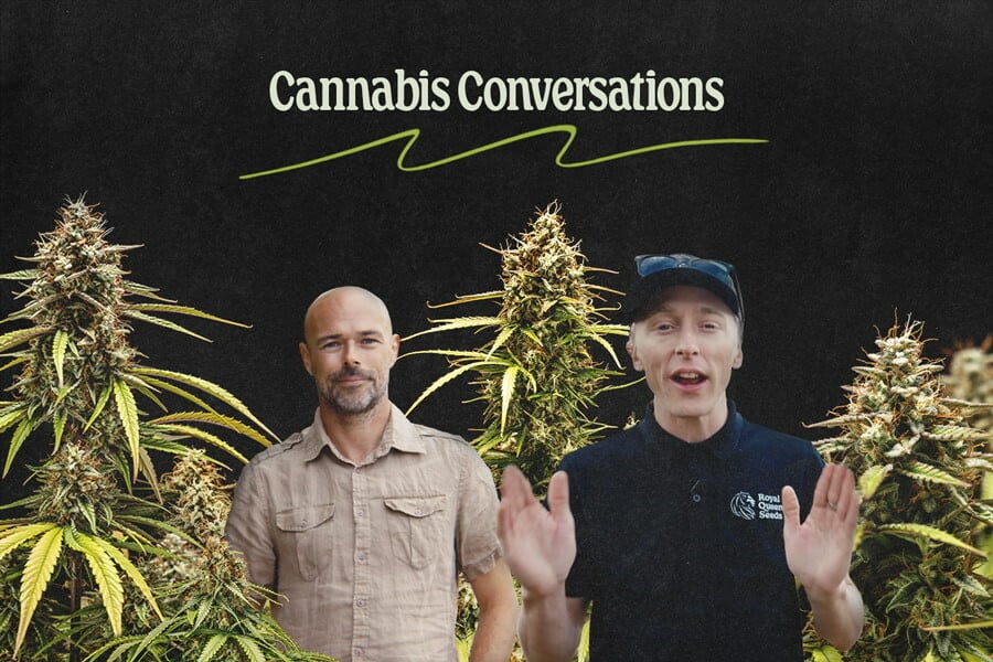 Cannabis Conversations: Pruebas con la Orion F1 en Bioleaf Health