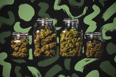 Cómo almacenar la marihuana a largo plazo y conservar su frescura